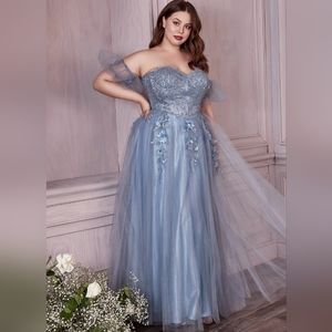 Cinderella Divine Floral Applique Strapless Gown Size 2XL